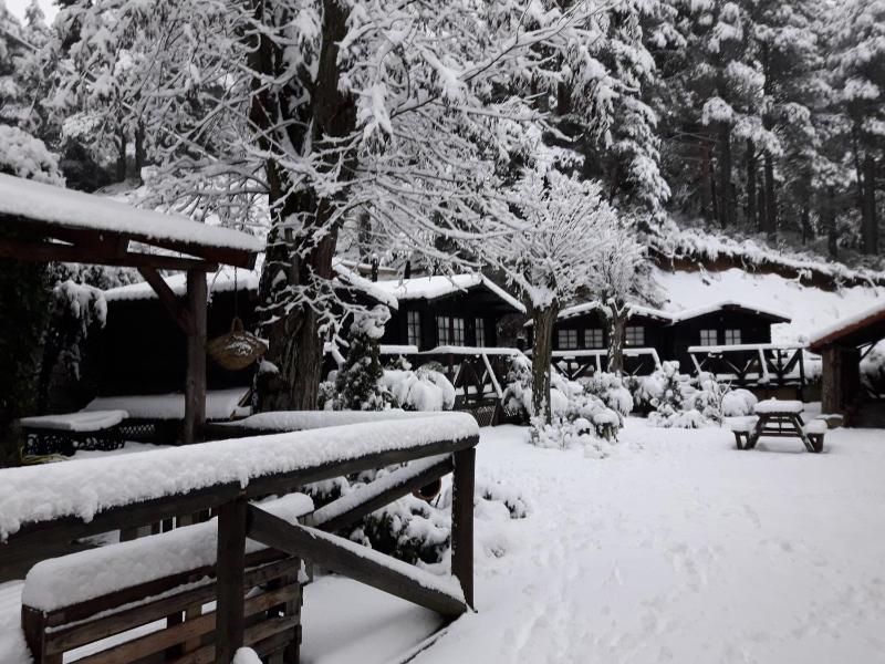  Bungalow (2 Adults) with Shared Bathroom image 3