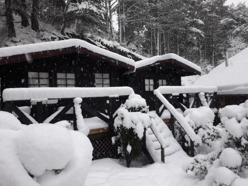 Bungalow (2 Adults) with Shared Bathroom image 4