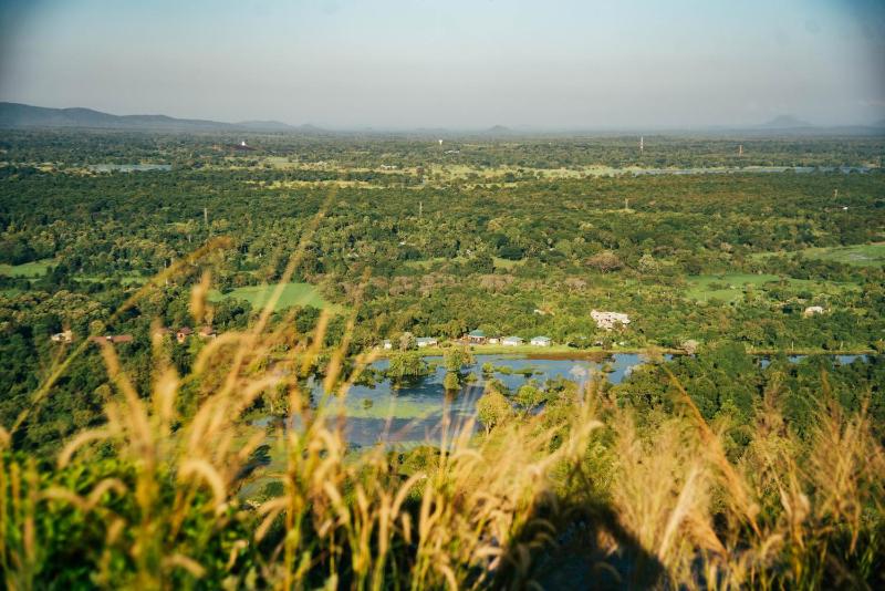 Sigiriya King's Resort - image 9