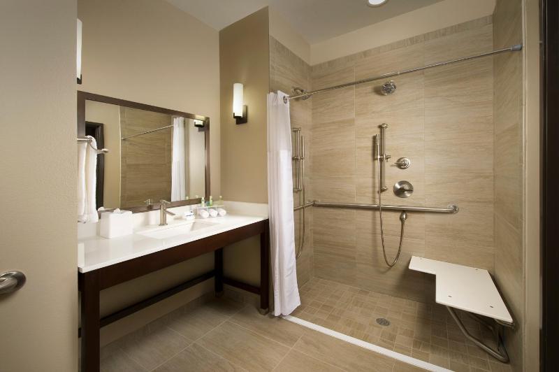 King Room - Disability Access Roll in Shower image 2