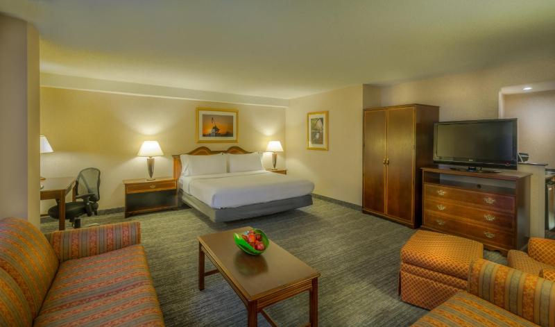 Premium King Room image 2