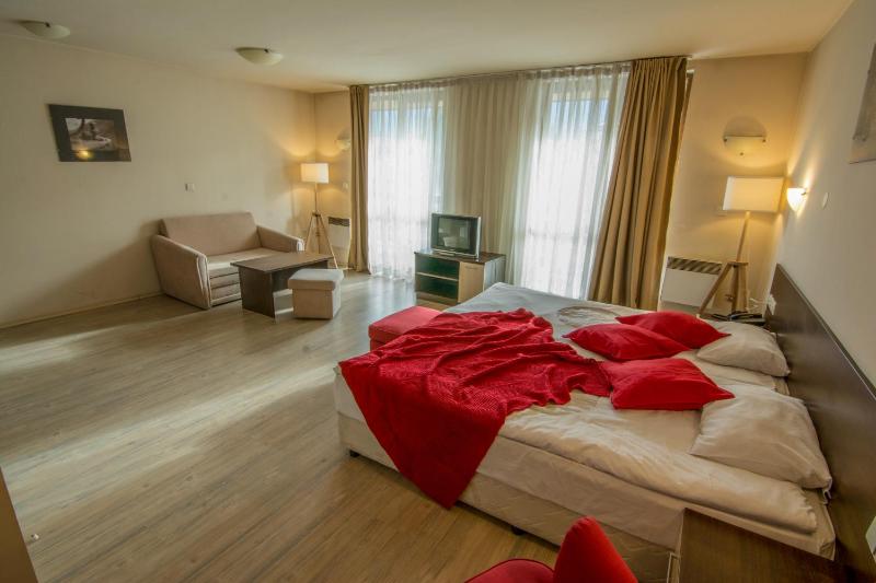 Banderitsa Studio Bansko 1 - image 21