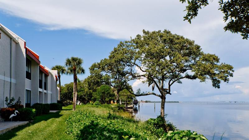 Runaway Bay 184 - 1652814 - image 7