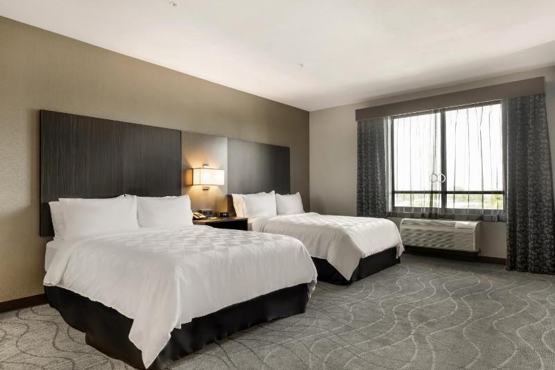 Queen Suite with Two Queen Beds and Sofa Bed image 2