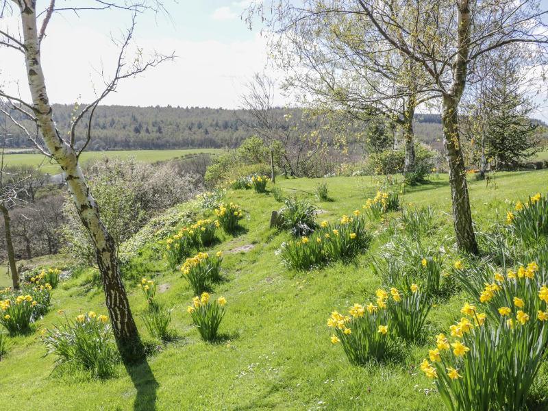 Swallow Cottage - image 20