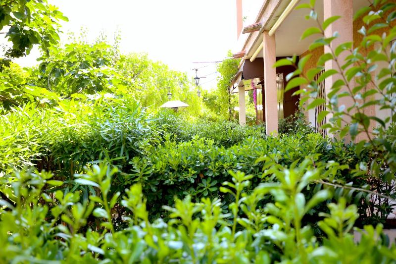 Classic Double Room with Private Small Garden image 2