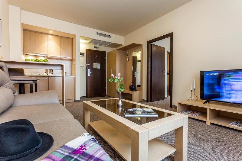 One-Bedroom Apartment image 4