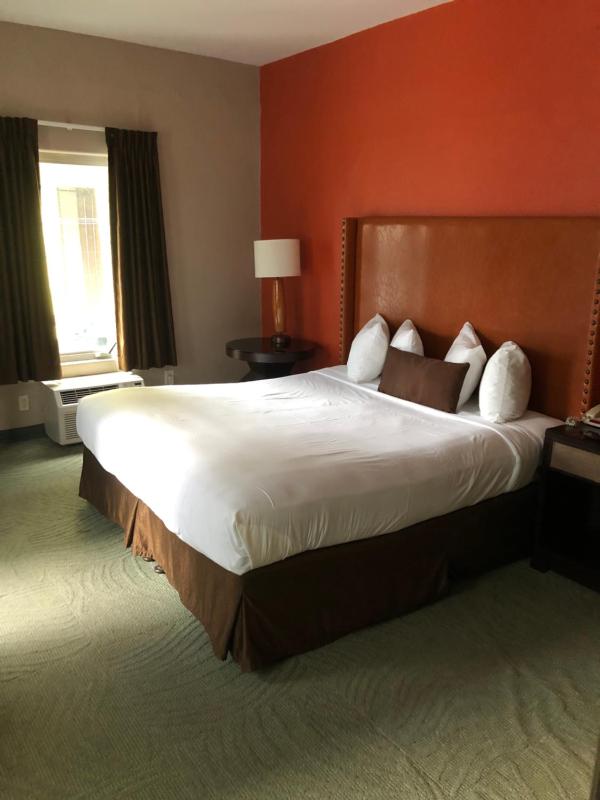 Downtown Value Inn - image 5