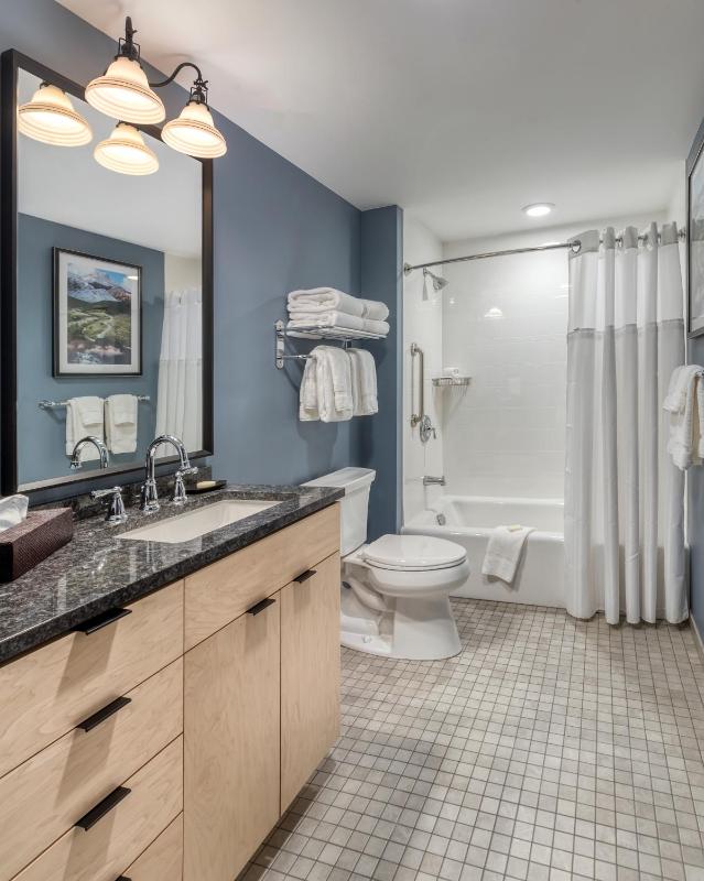 One-Bedroom Suite image 4