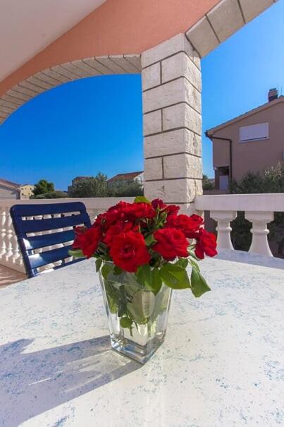 Apartments Tonimir - image 13