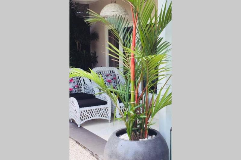 Villa Bloom 4 - 2 King bedrooms  Sleep 4 Pax private pool Seminyak - image 14