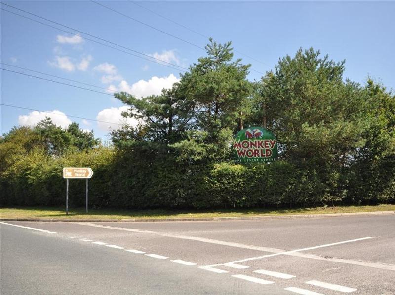 Blueberry Cottage - image 9