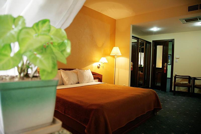 Superior Double Room image 2