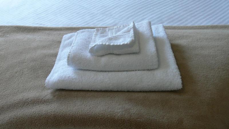 Double or Twin Room image 3
