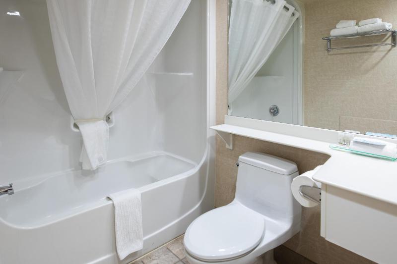 Royal Hotel West Edmonton Trademark Collection by Wyndham - image 35