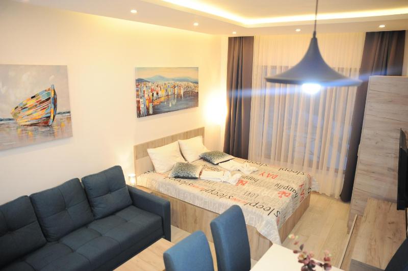 One-Bedroom Apartment image 2