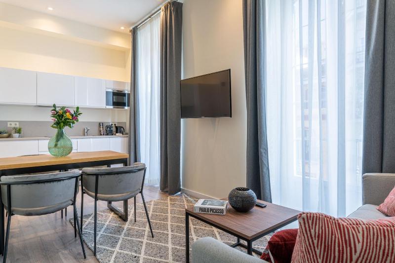 One-Bedroom Apartment image 2