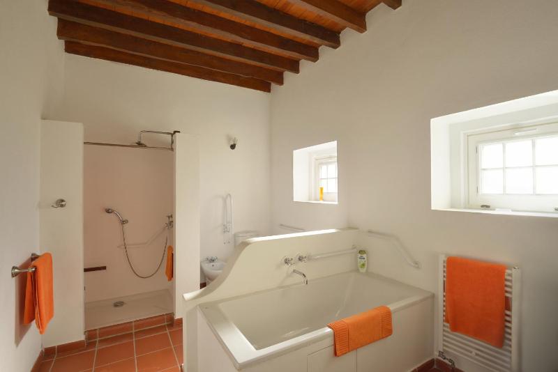 One-Bedroom Suite - Disability Access image 4