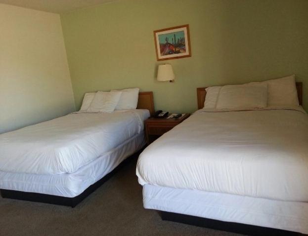 Standard Double Room image 3