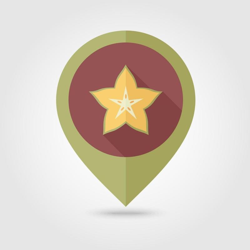 Starfruit Villa - image 2