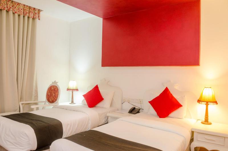 Deluxe Twin Room image 4