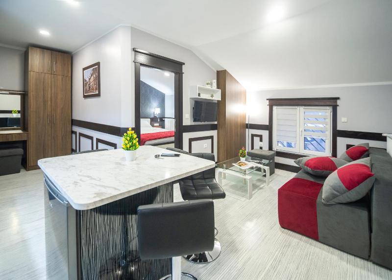 One-Bedroom Apartment image 4