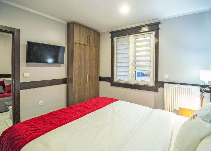 One-Bedroom Apartment image 4