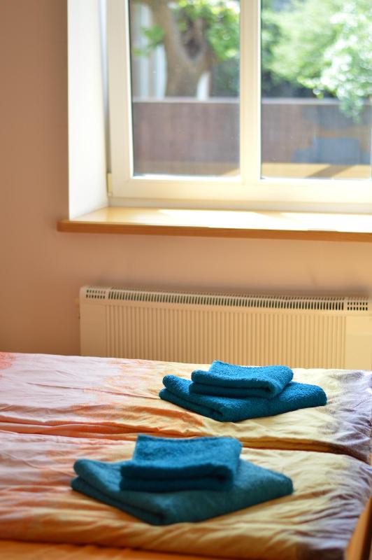 Krišjāņa Barona street apartment - image 7