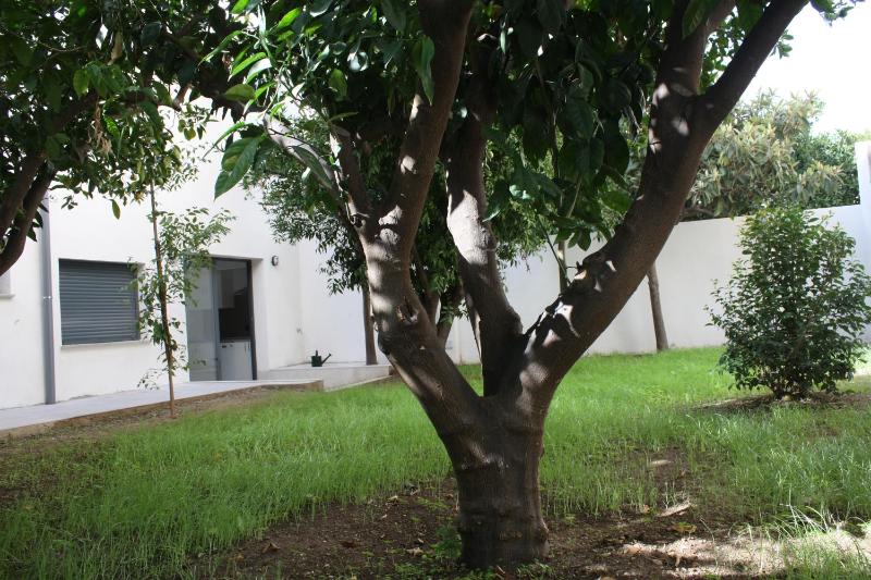 Double Room with Terrace image 3