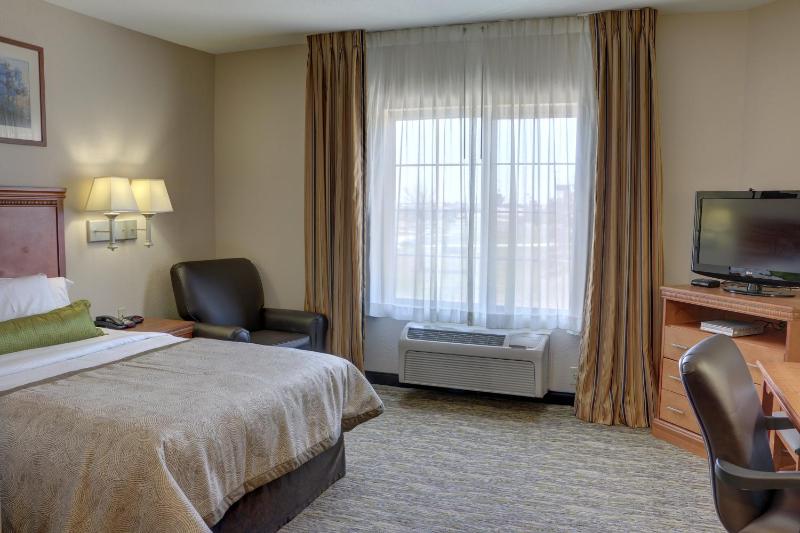 Studio Suite image 4