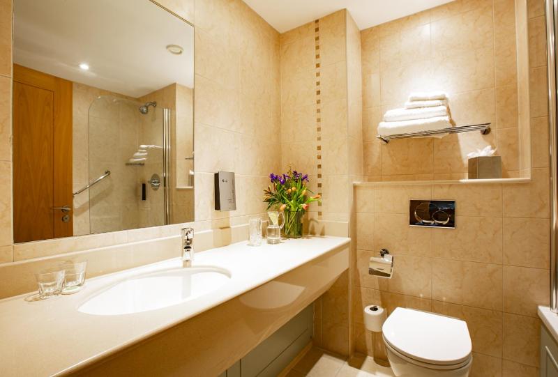 Executive Twin Room image 2
