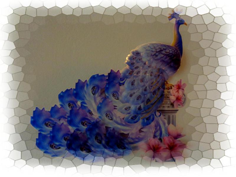 ~Peacock House~ Images
