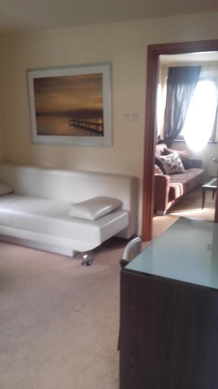 One-Bedroom Apartment image 2
