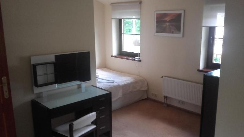 One-Bedroom Apartment image 3