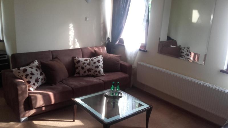 One-Bedroom Apartment image 4