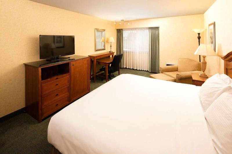 Premium King Room image 3