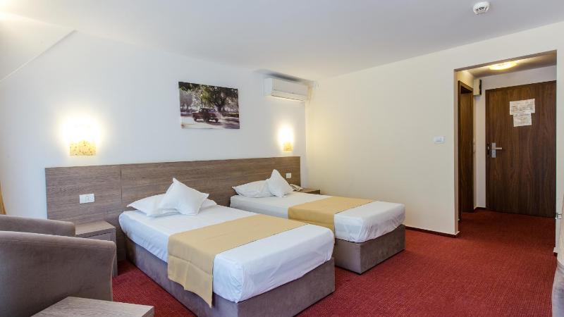 Superior Twin Room with Balcony and Park View  image 3