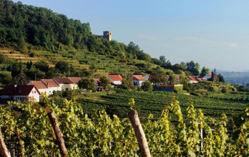 Two-Bedroom Apartment image 2