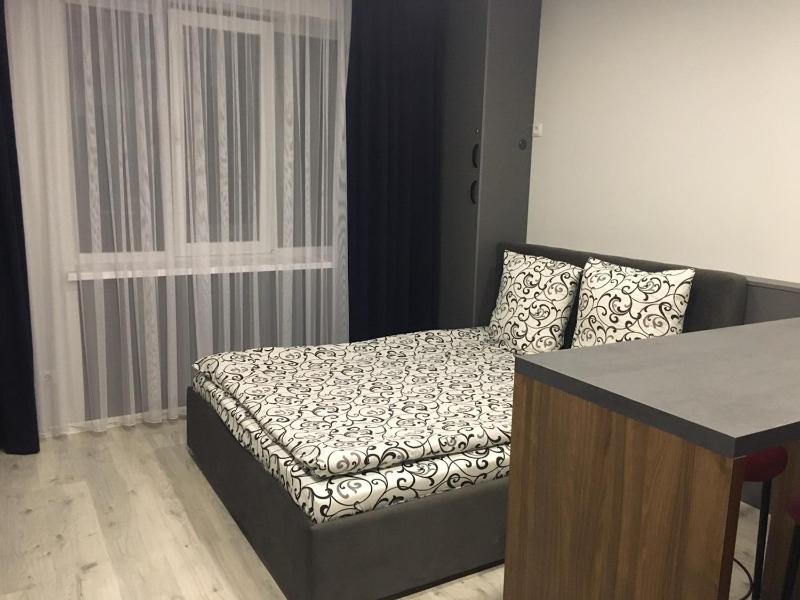 Deluxe Apartment image 3