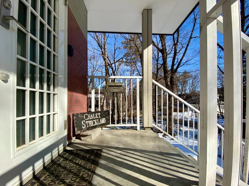 Chalet Strickland - image 16