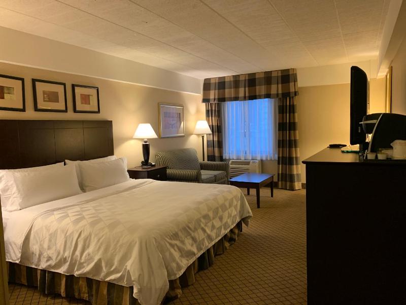 Premium King Room image 4