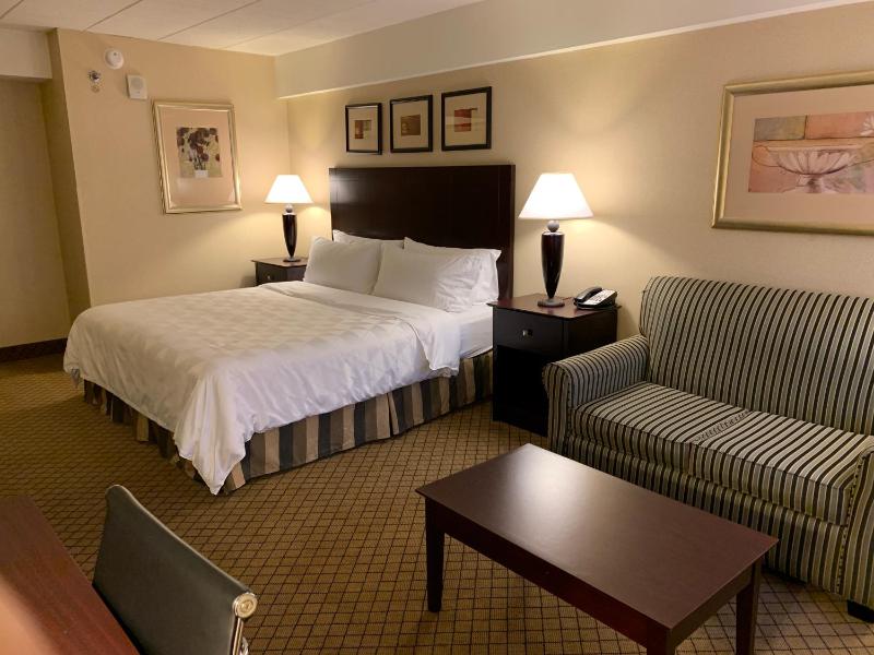 Premium King Room image 2