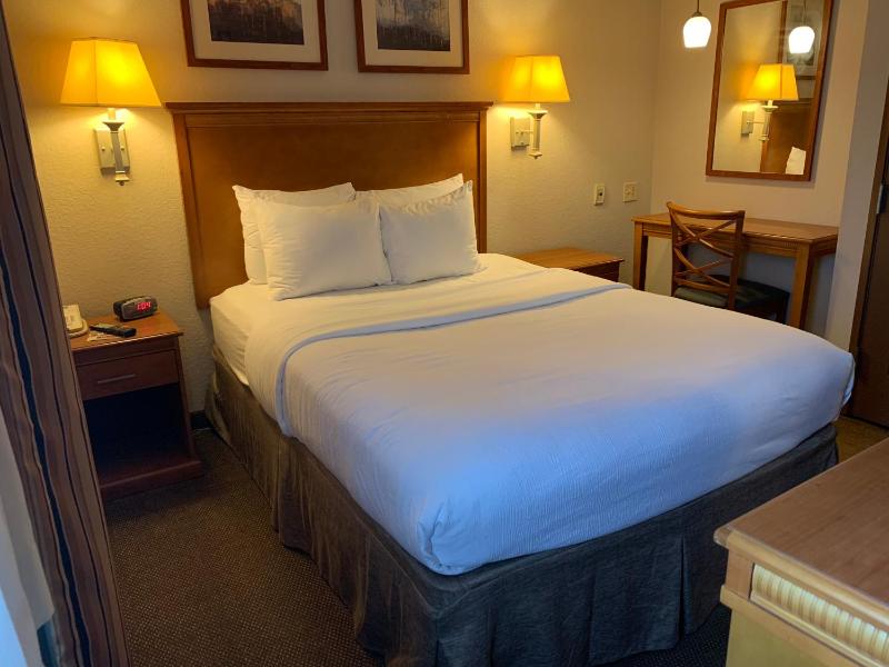 One-Bedroom Suite image 4