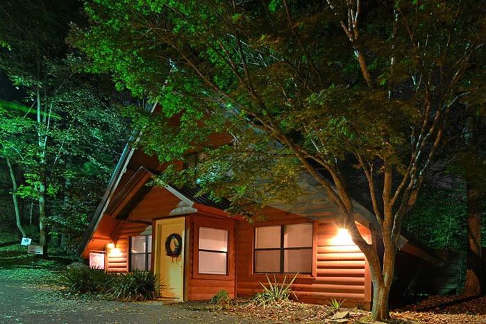 Cupid's Cabin - image 9