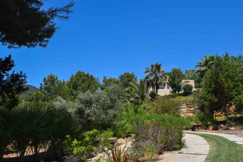 Superior Villa image 2