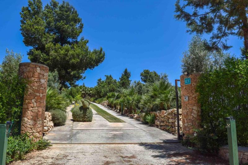 Superior Villa image 3