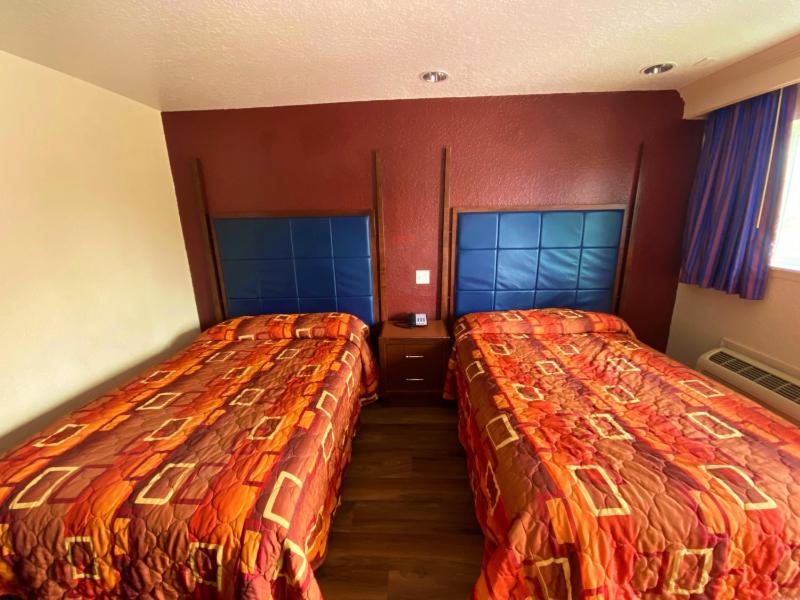 Standard Double Room image 4