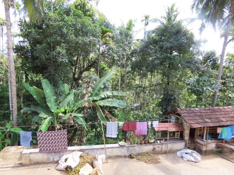 Spice Garden Farm house - image 14