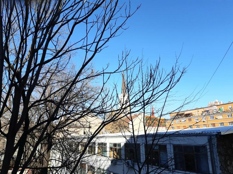 Downtown apartment in walk zone with 3 bedrooms and free parking - image 11