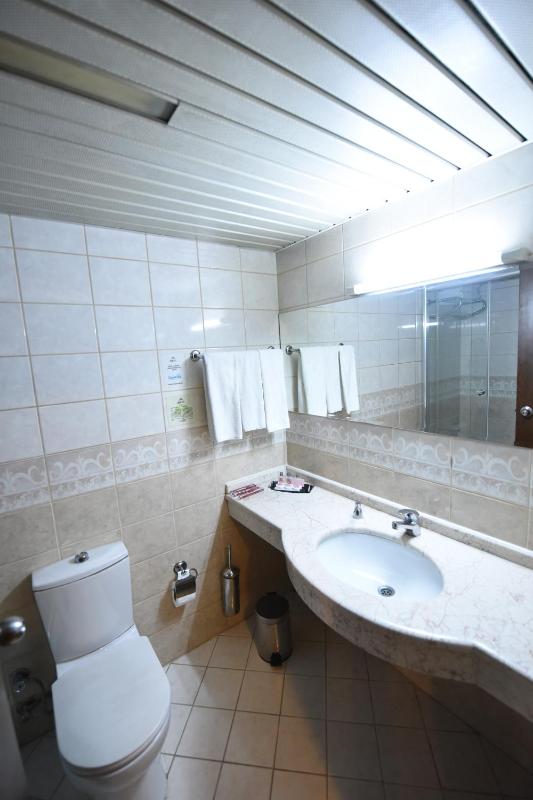Asal Hotel - image 6